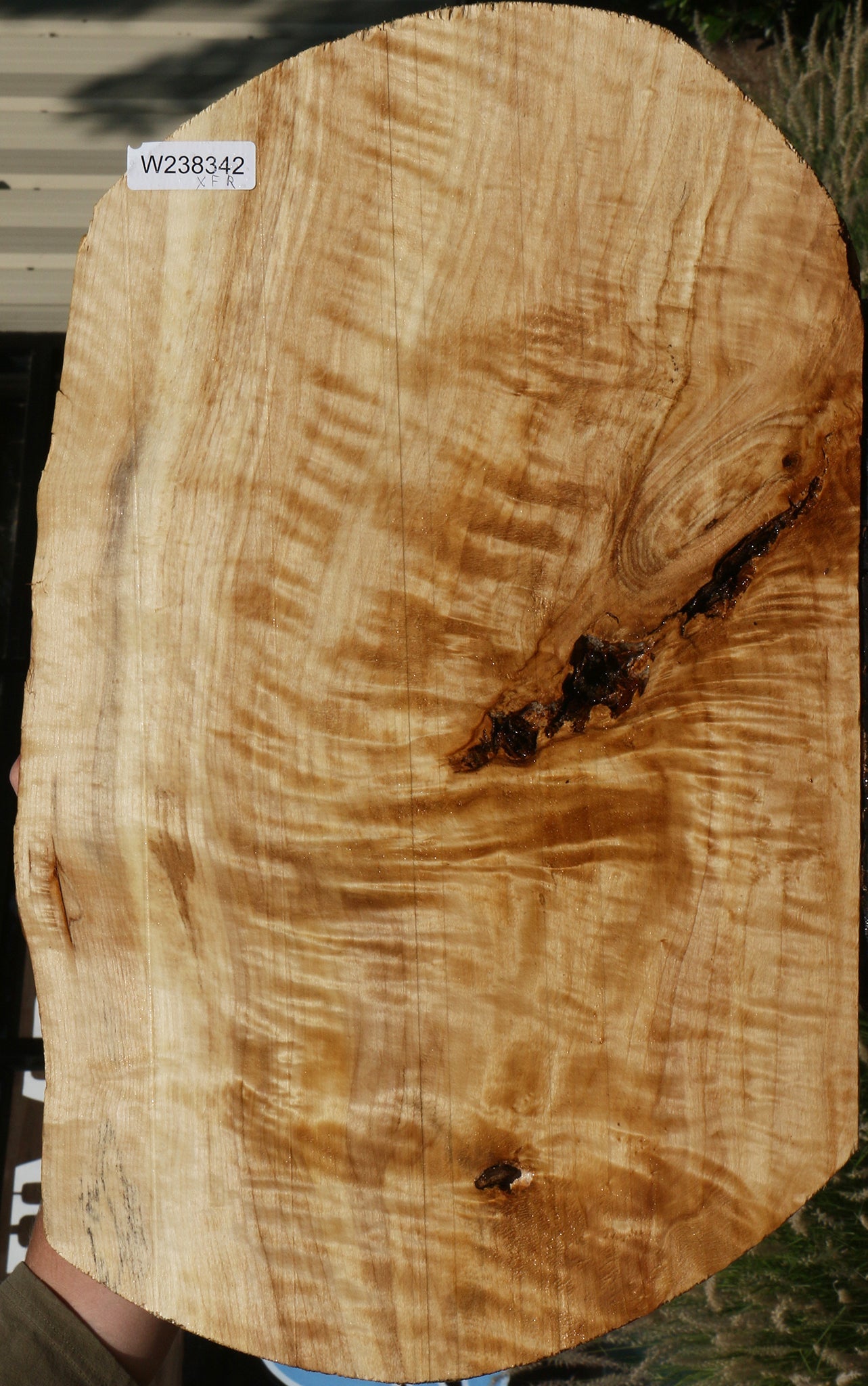 Extra Fancy Rustic Black Cottonwood Live Edge Lumber