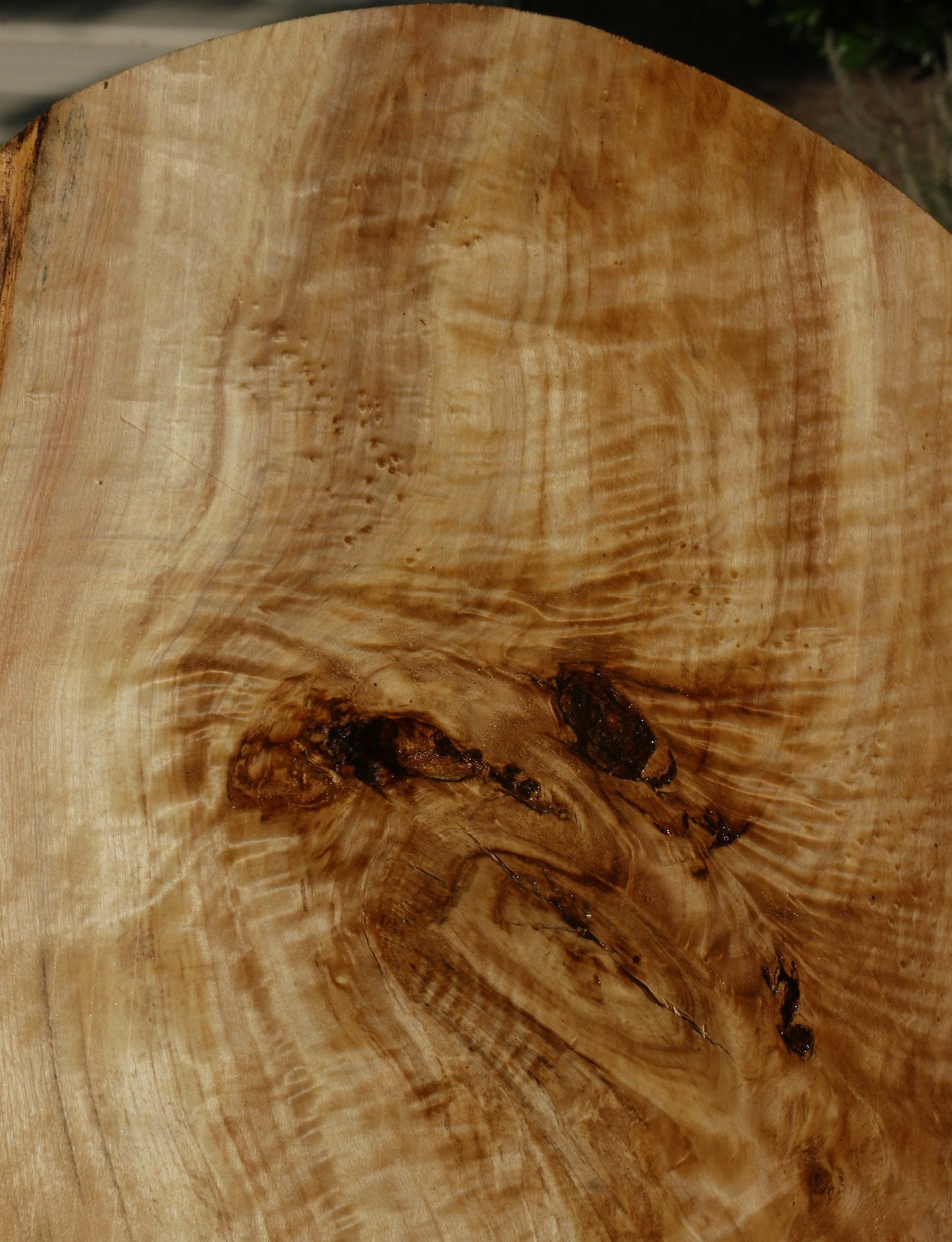 Extra Fancy Rustic Black Cottonwood Live Edge Lumber