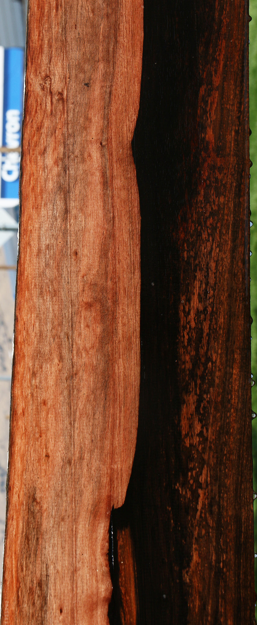 Figured Amara Ebony Live Edge Lumber
