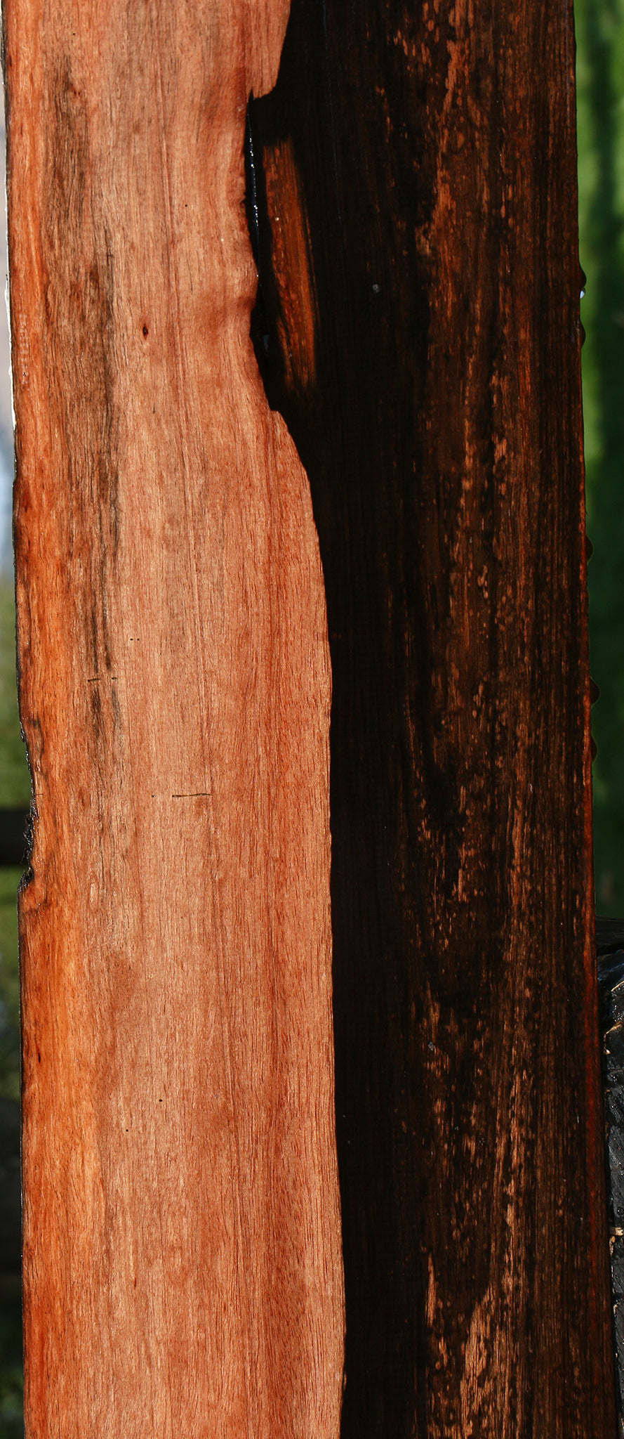 Figured Amara Ebony Live Edge Lumber