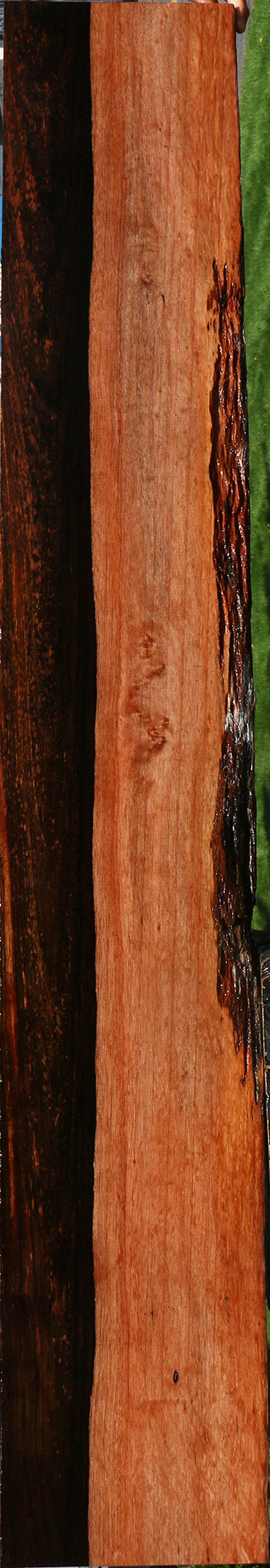 Figured Amara Ebony Live Edge Lumber