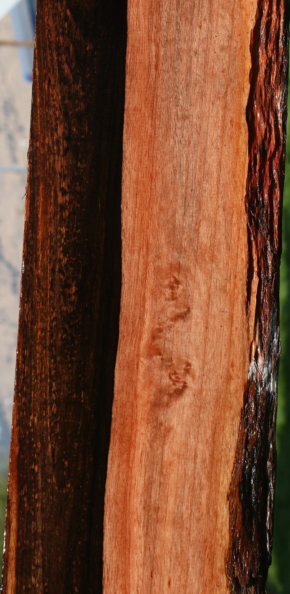 Figured Amara Ebony Live Edge Lumber