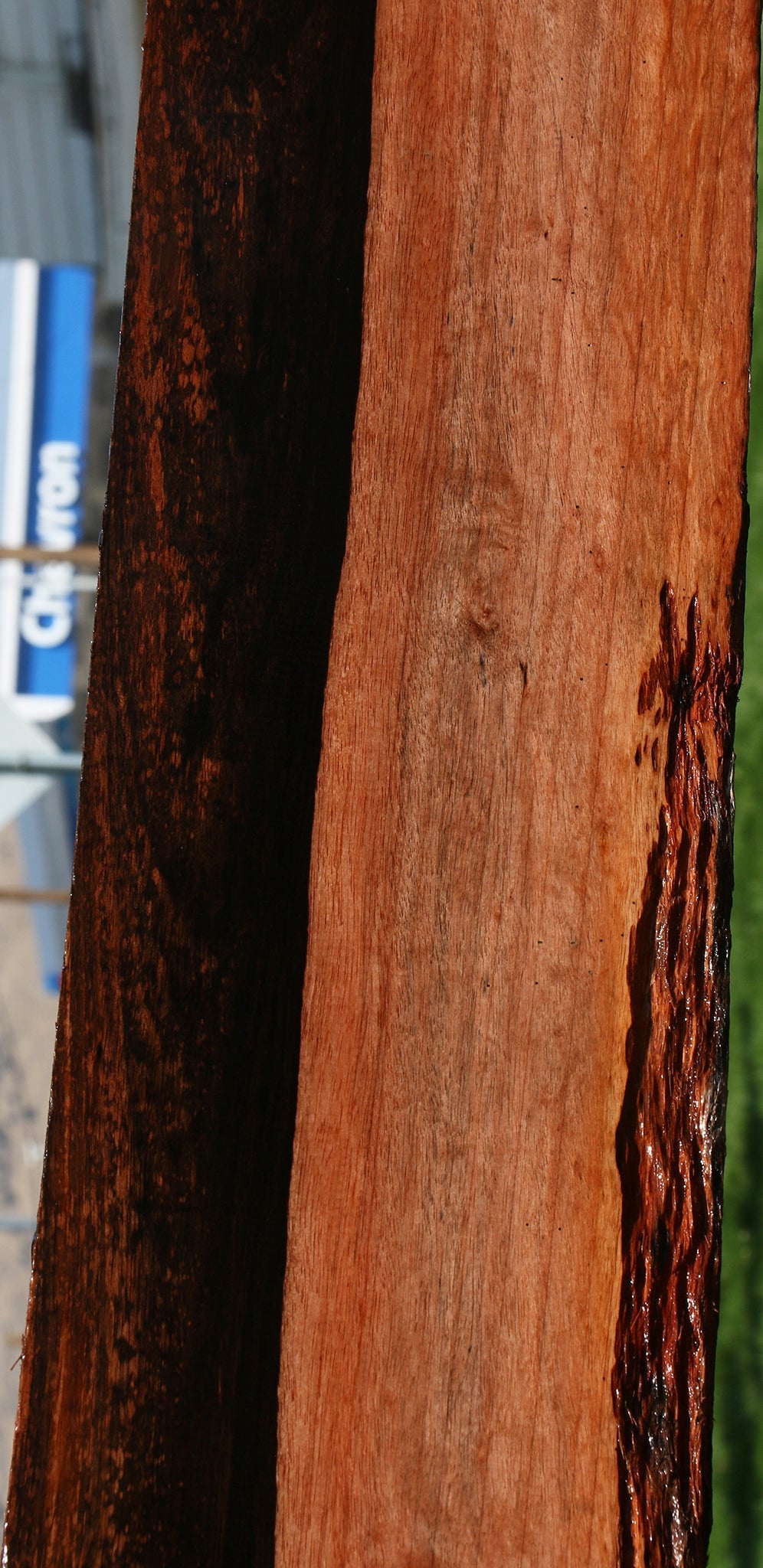 Figured Amara Ebony Live Edge Lumber