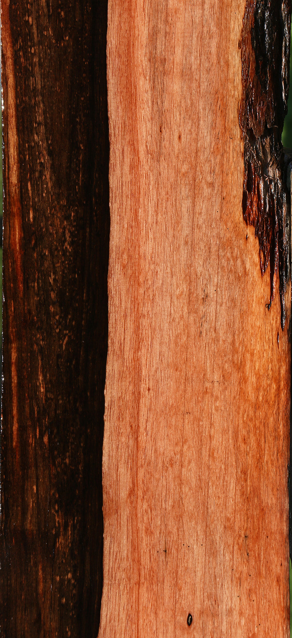 Figured Amara Ebony Live Edge Lumber