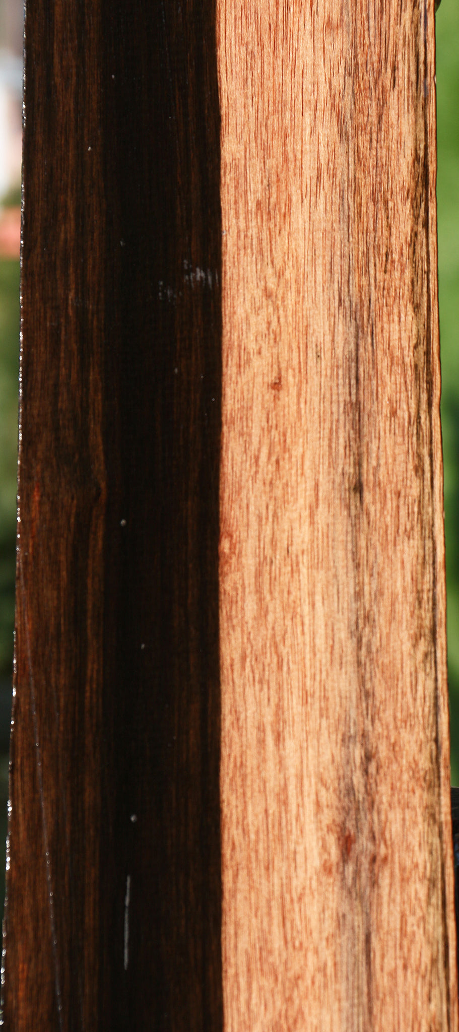 Figured Amara Ebony Micro Lumber