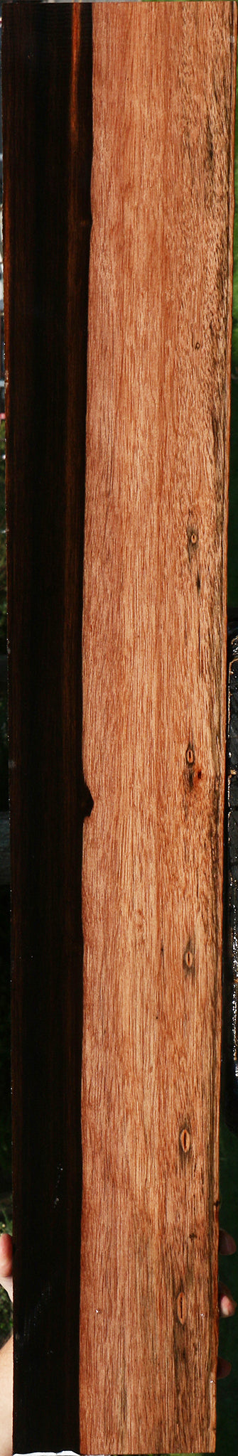 Figured Amara Ebony Micro Lumber