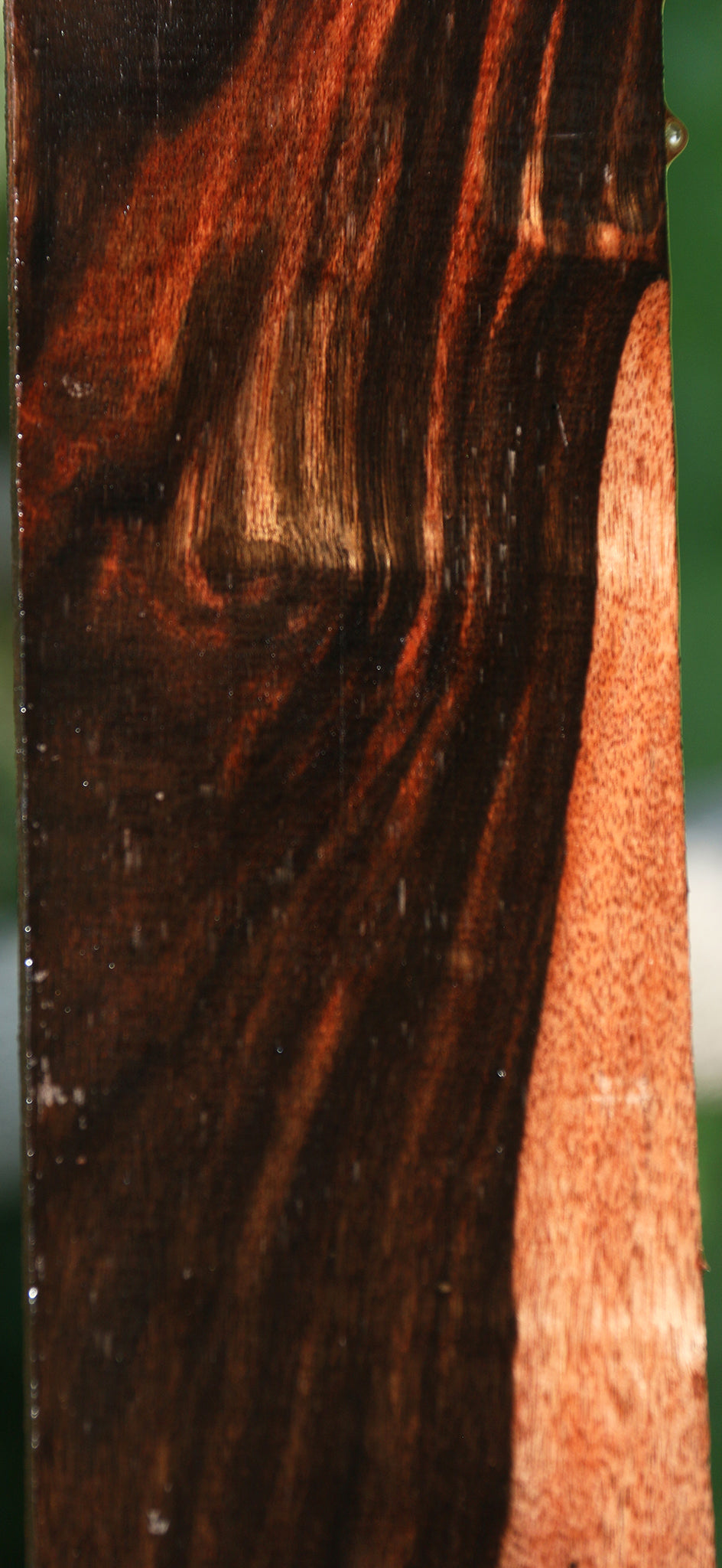 Figured Amara Ebony Lumber
