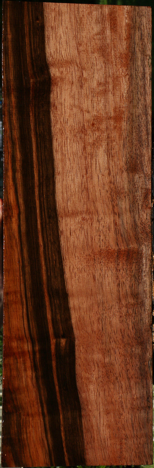 Amara Ebony Instrument Lumber