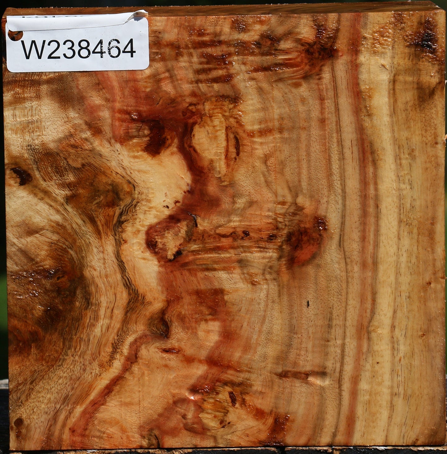 Extra Fancy Carob Bowl Blank