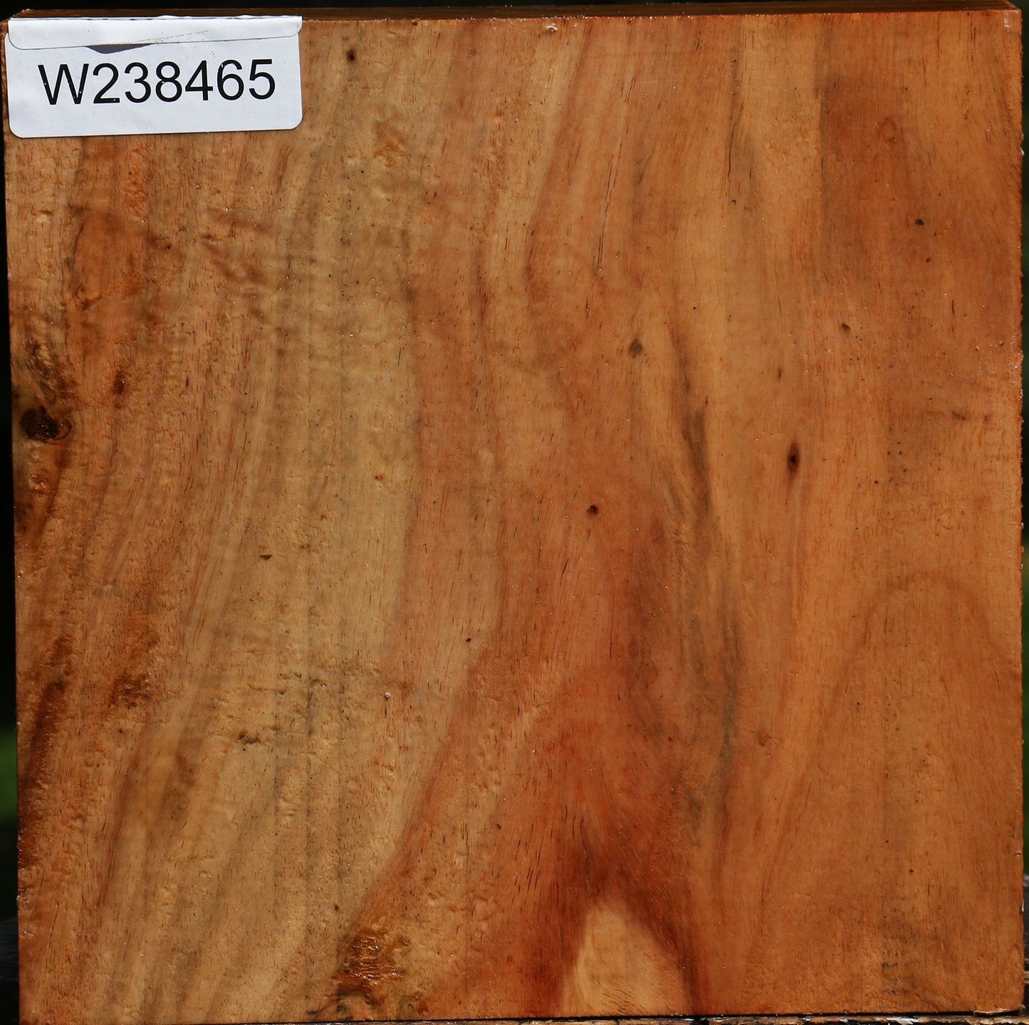 Figured Carob Bowl Blank