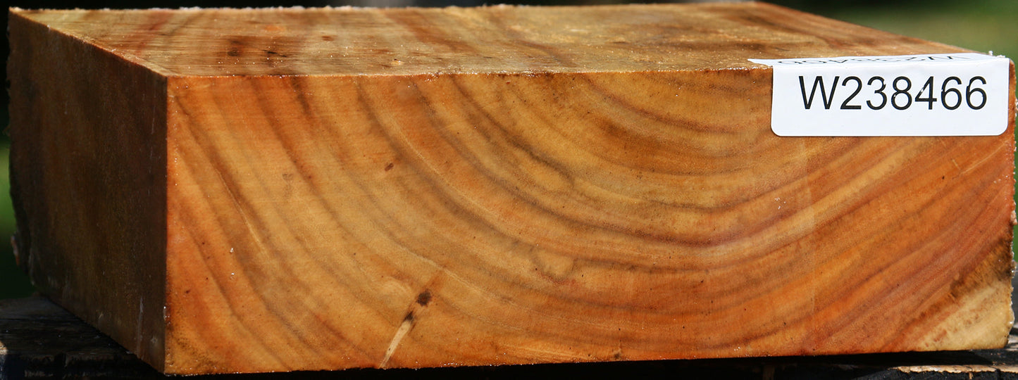 Figured Carob Bowl Blank