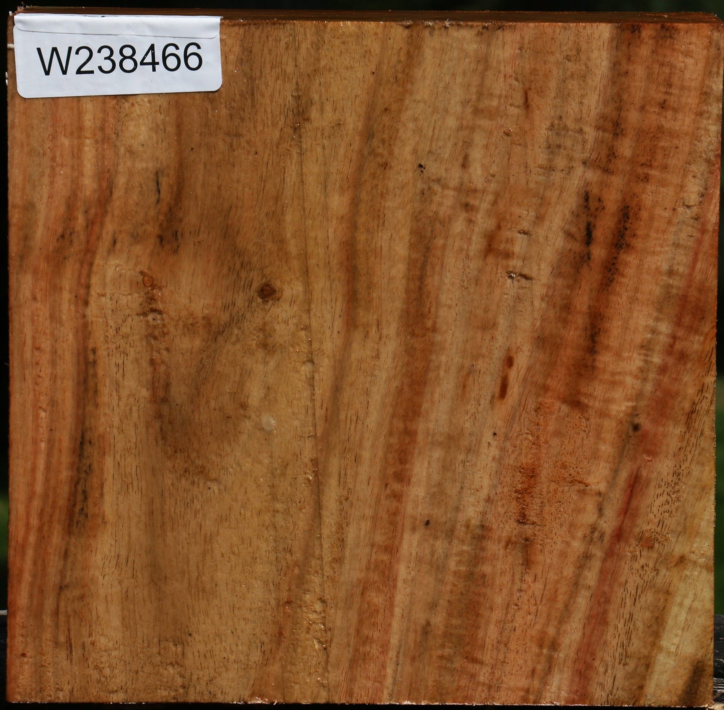 Figured Carob Bowl Blank