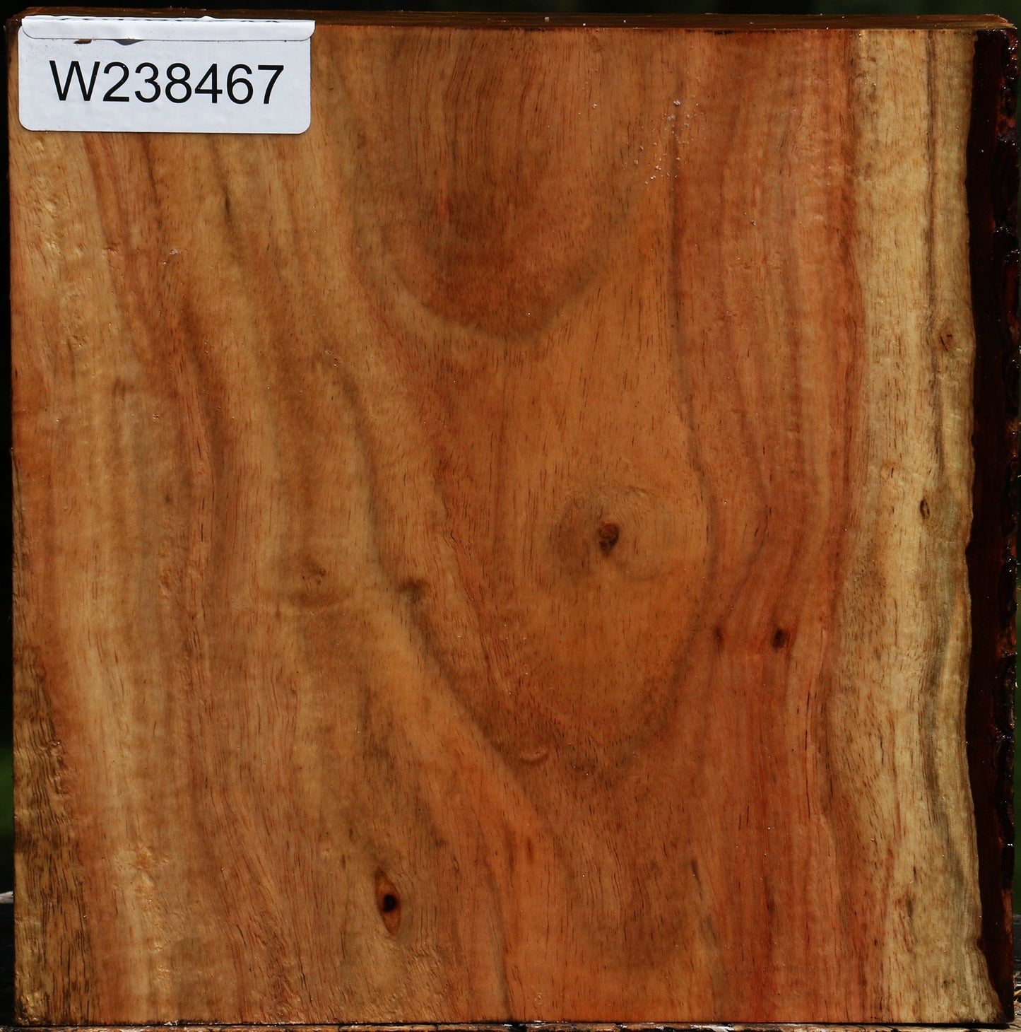 Figured Carob Bowl Blank