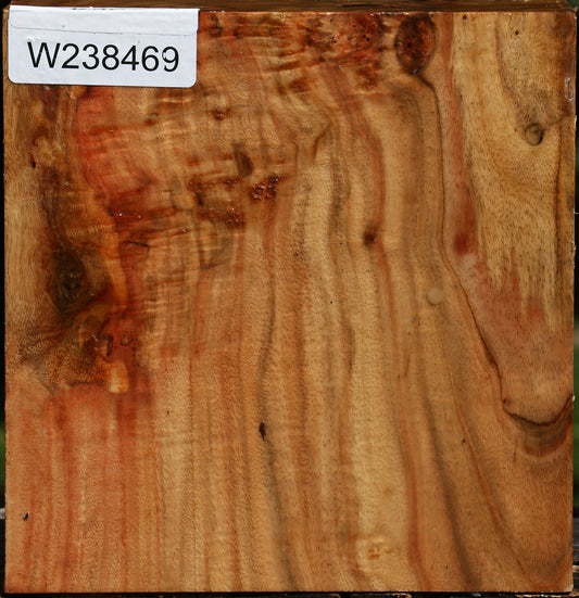 Figured Carob Bowl Blank