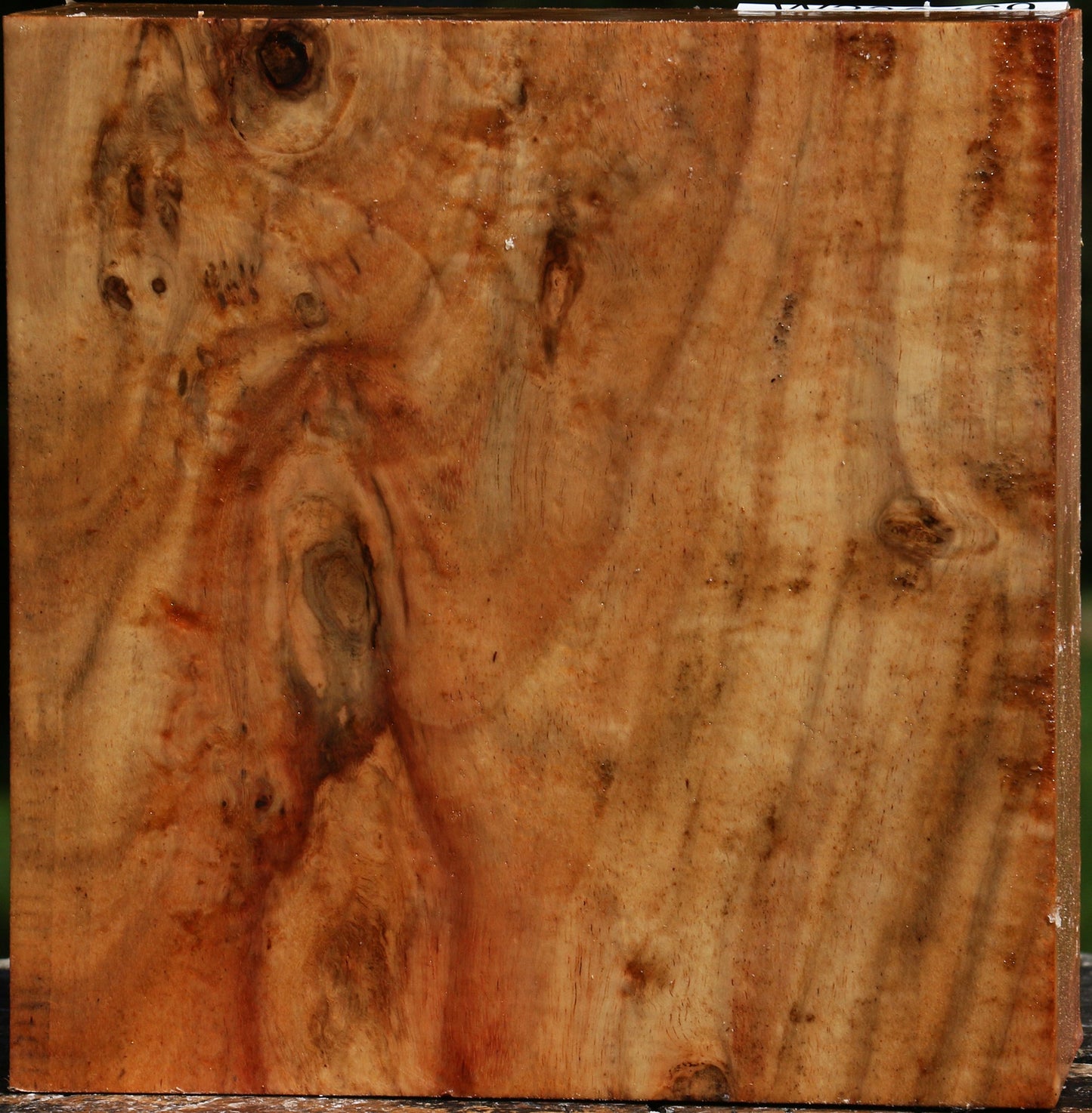 Figured Carob Bowl Blank