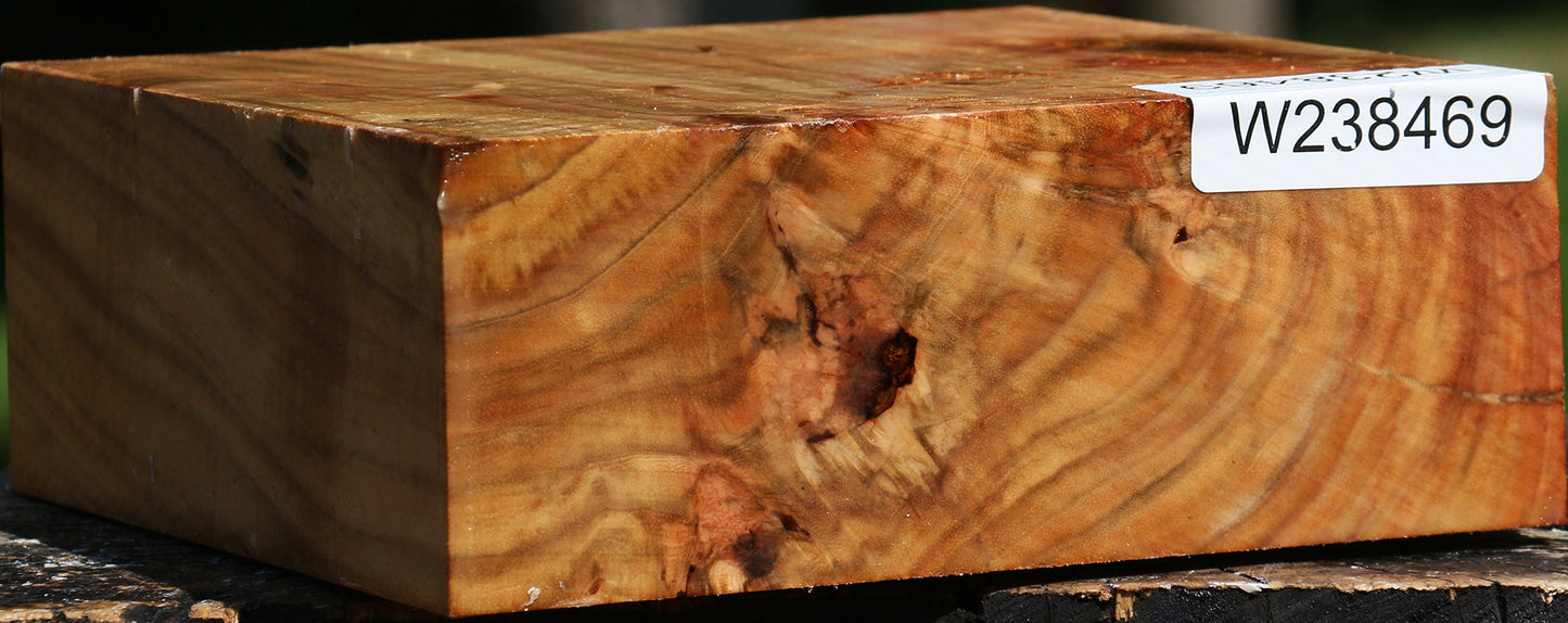 Figured Carob Bowl Blank