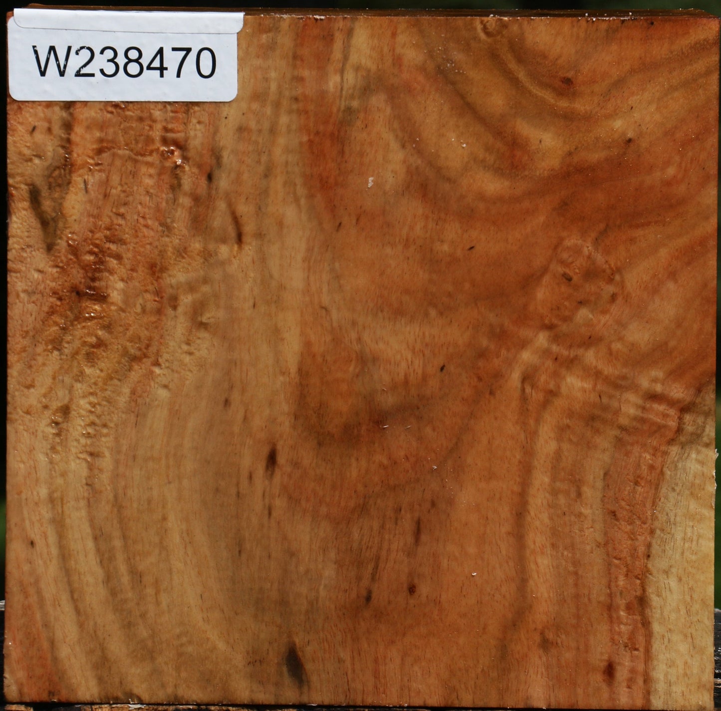 Extra Fancy Carob Bowl Blank