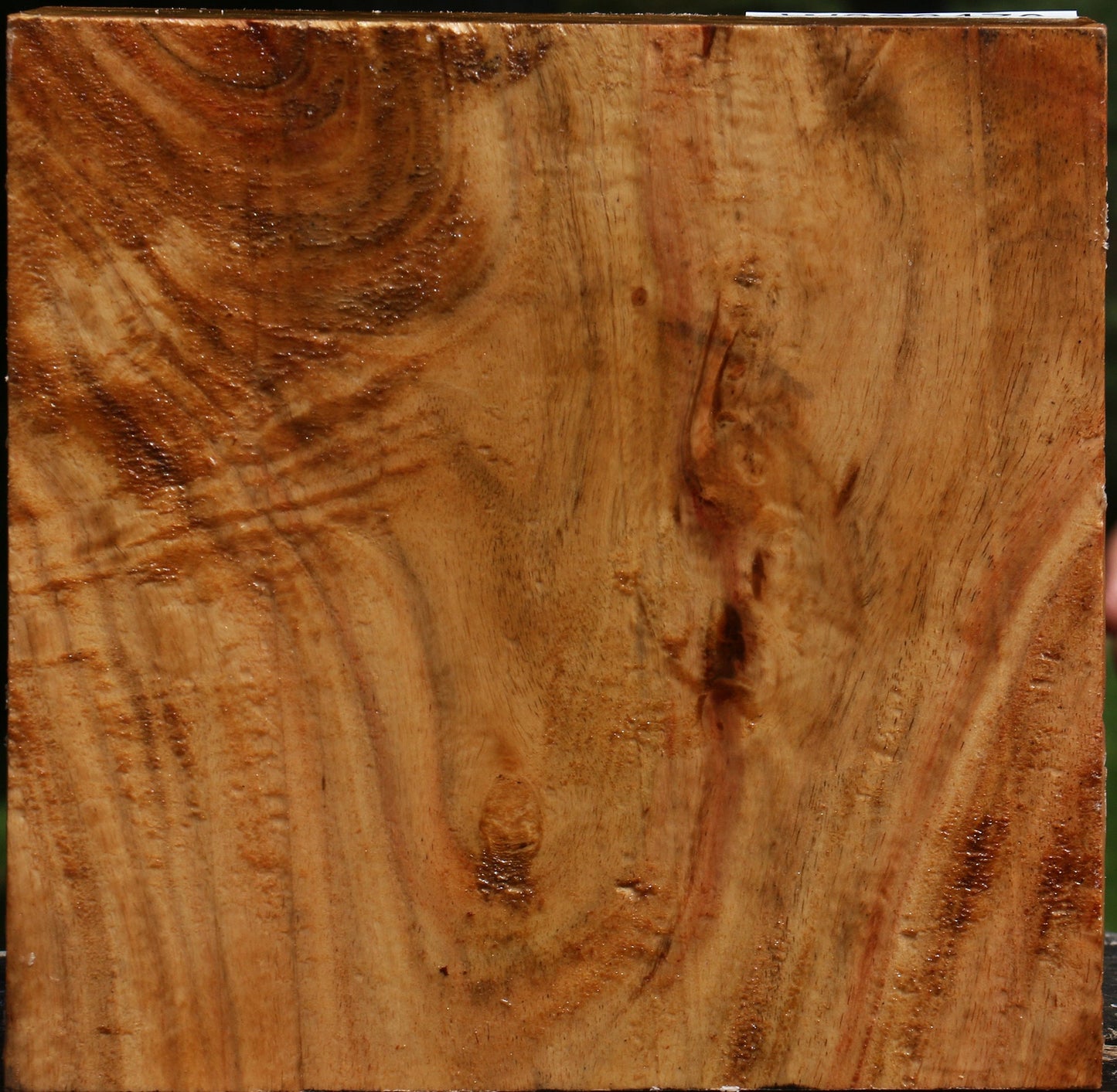 Extra Fancy Carob Bowl Blank