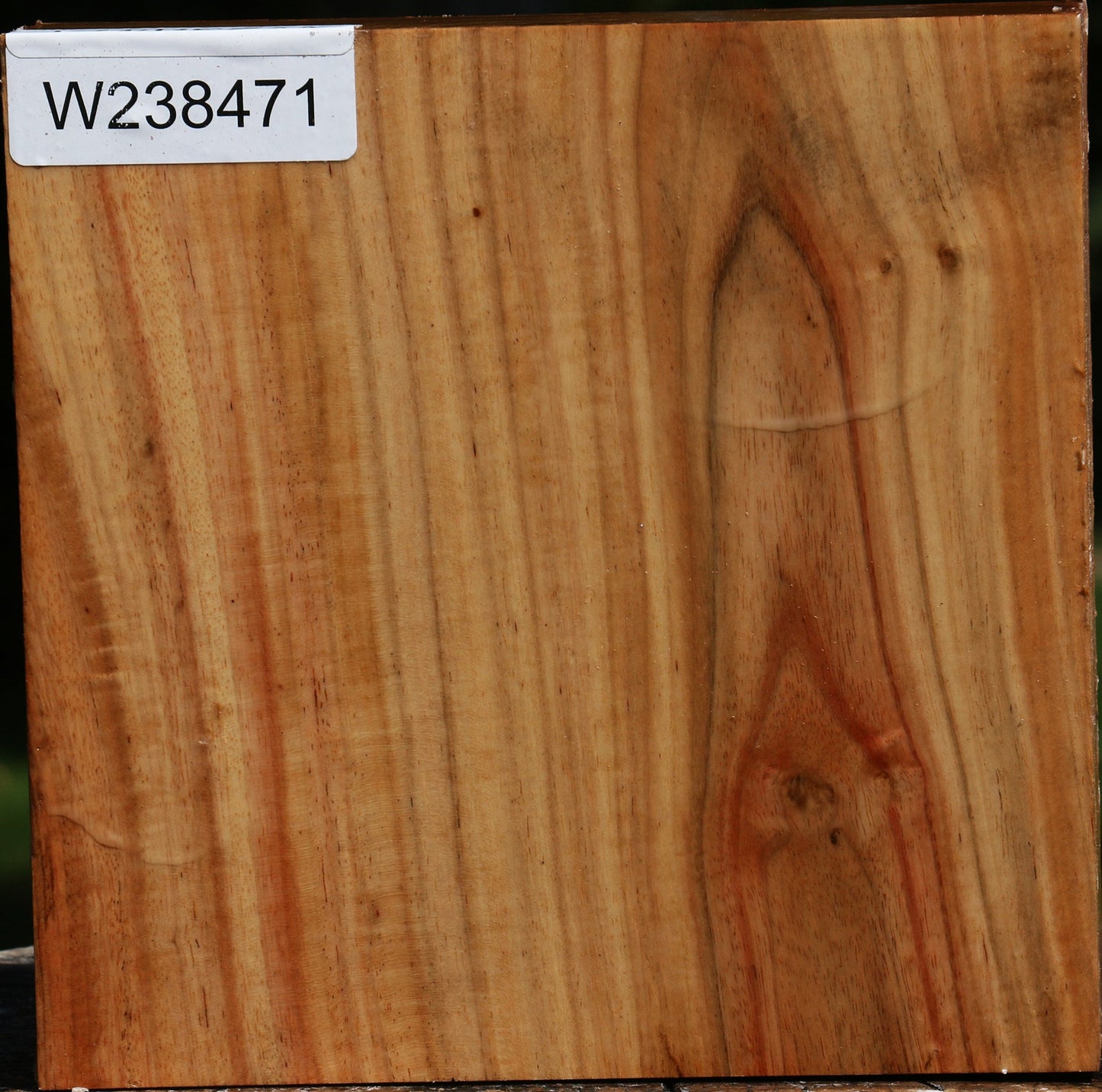 Figured Carob Bowl Blank