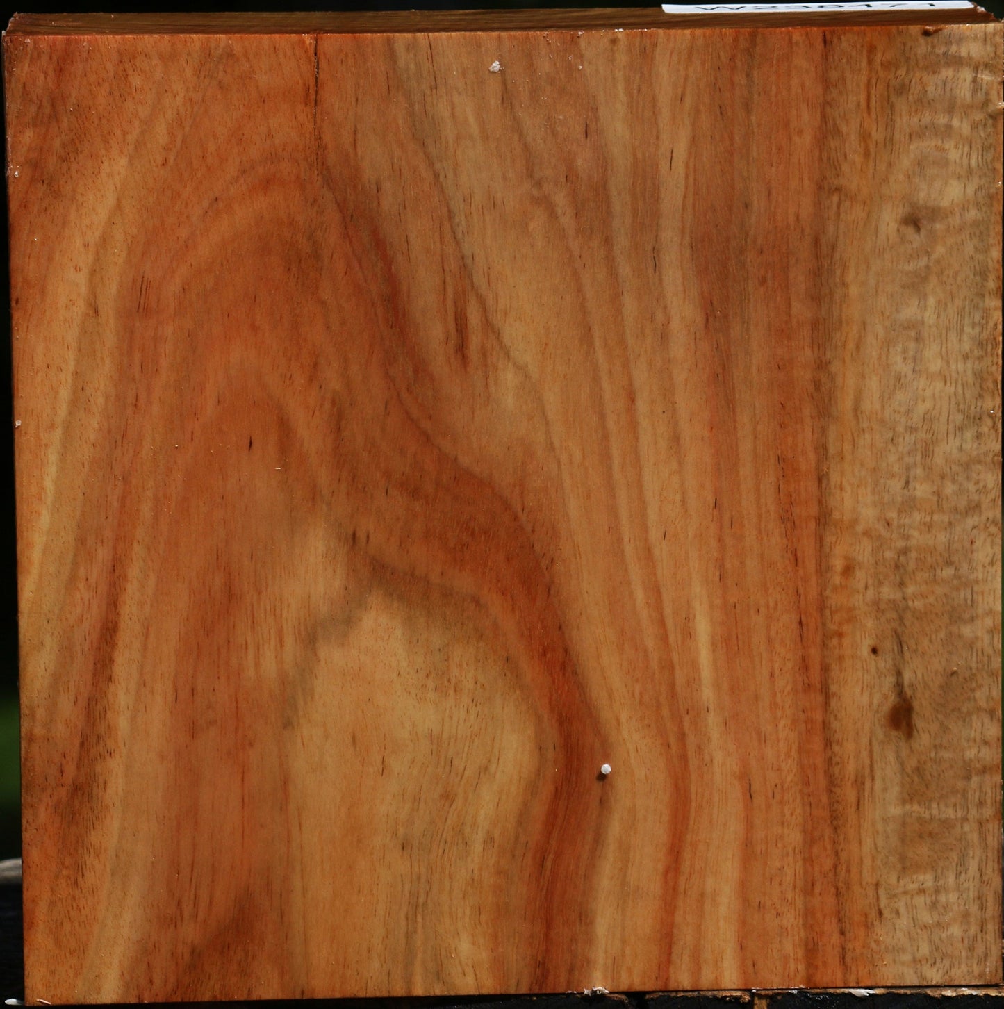 Figured Carob Bowl Blank