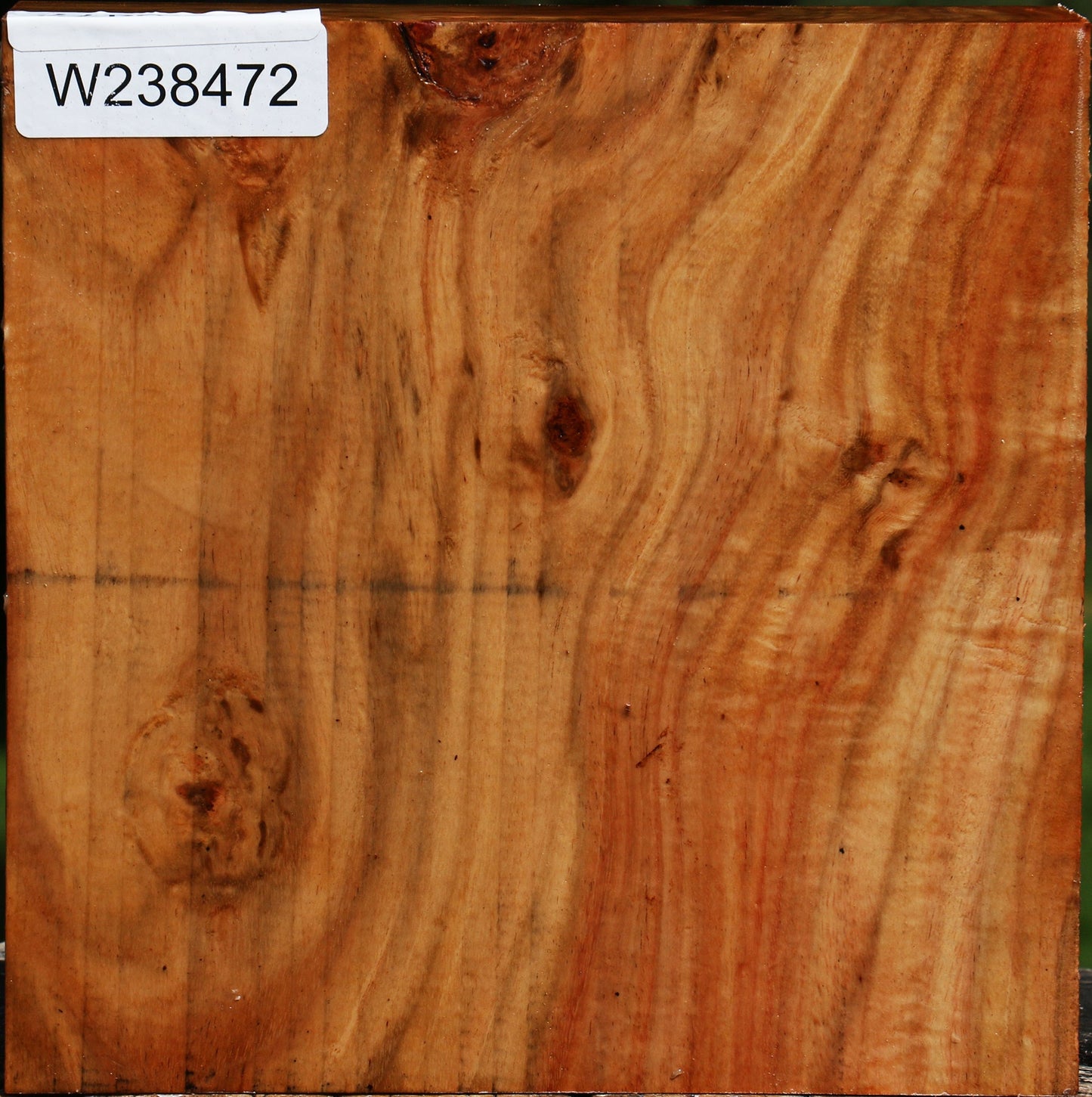 Figured Carob Bowl Blank