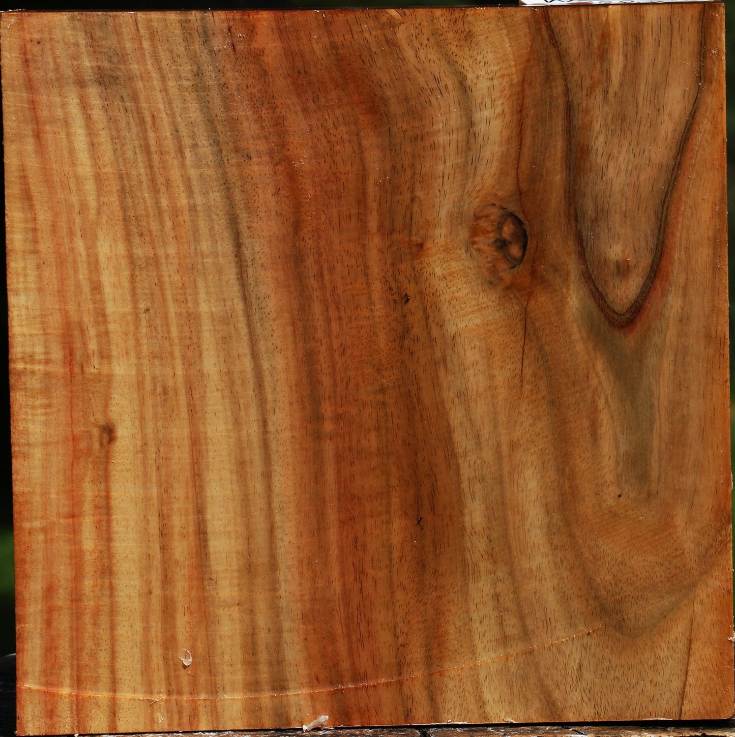 Figured Carob Bowl Blank