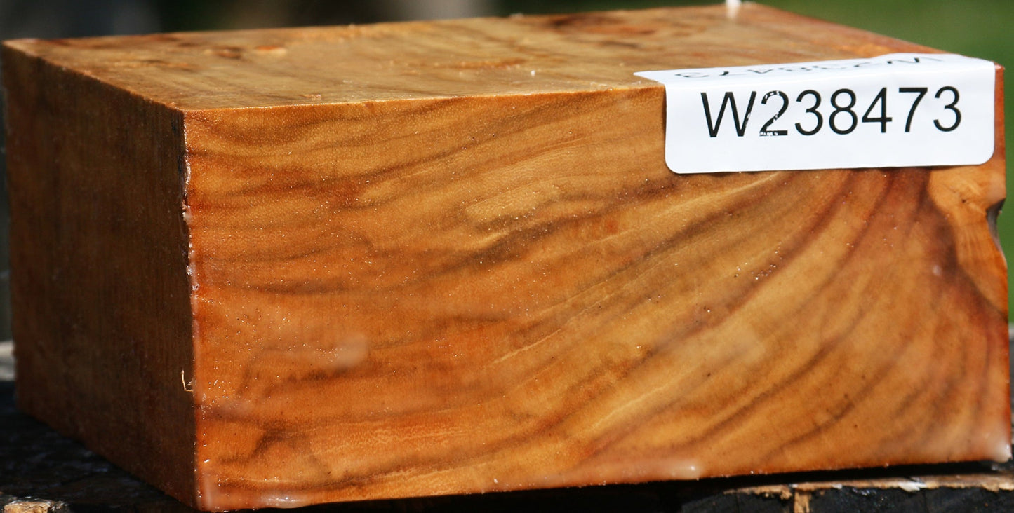 Figured Carob Bowl Blank