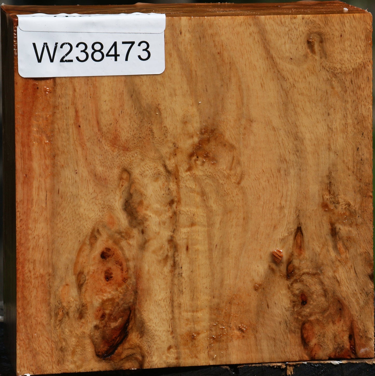 Figured Carob Bowl Blank