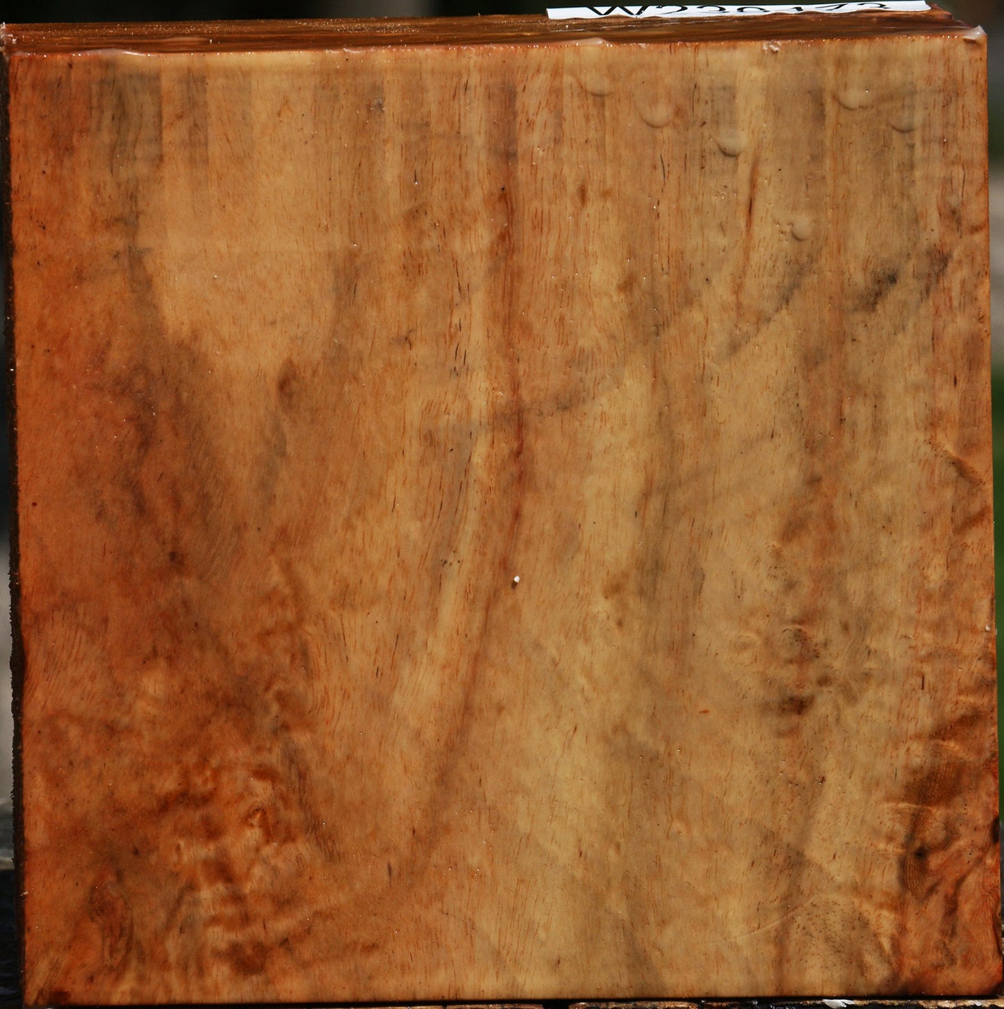 Figured Carob Bowl Blank