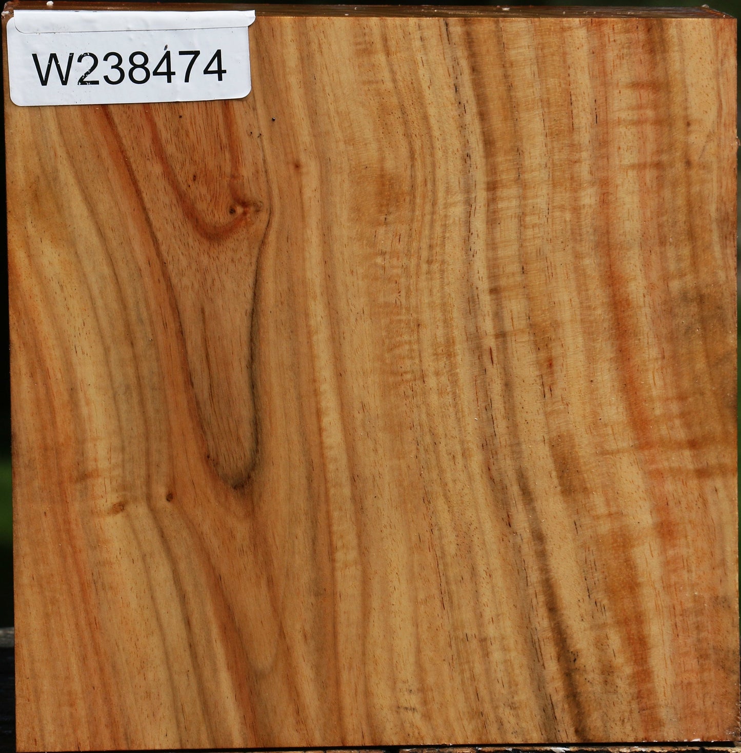 Figured Carob Bowl Blank