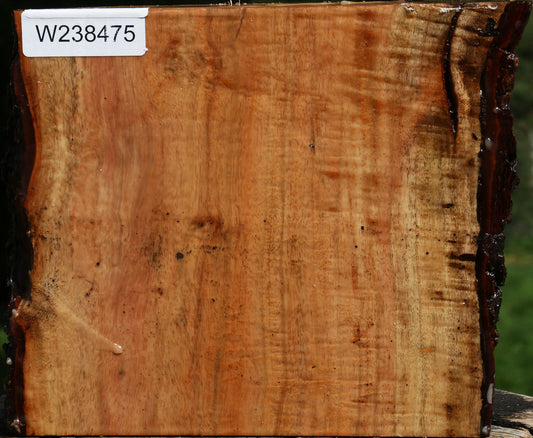 Figured Carob Live Edge Bowl Blank