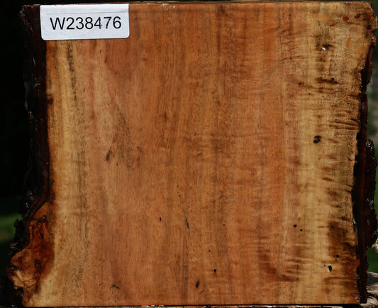 Figured Carob Live Edge Bowl Blank