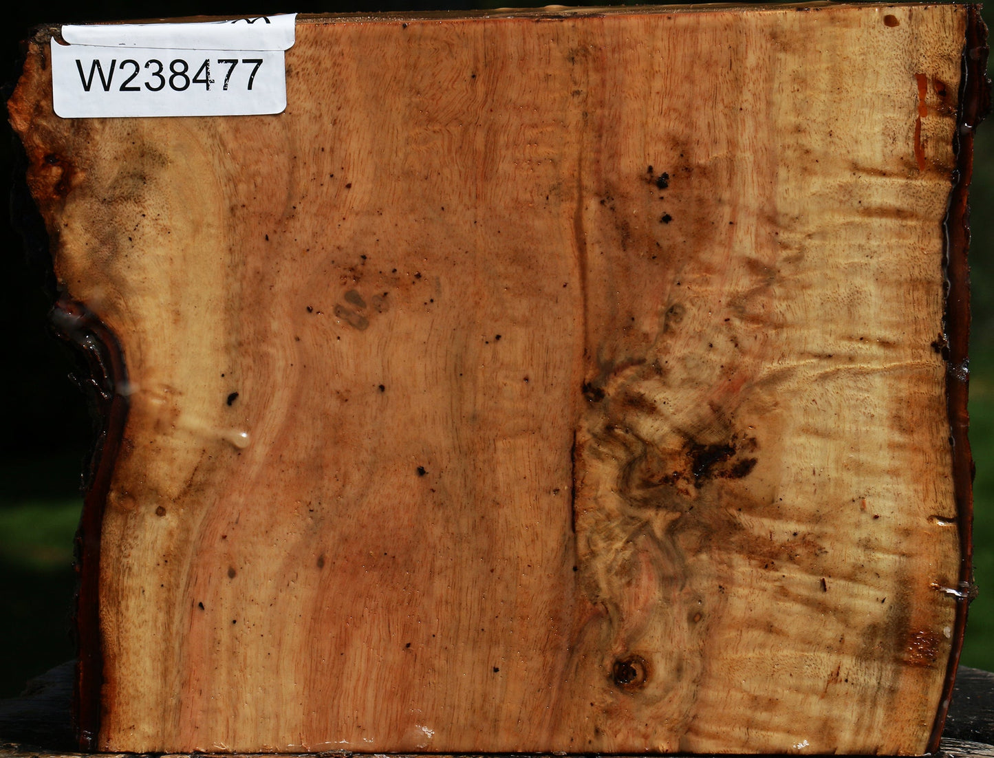 Carob Live Edge Bowl Blank