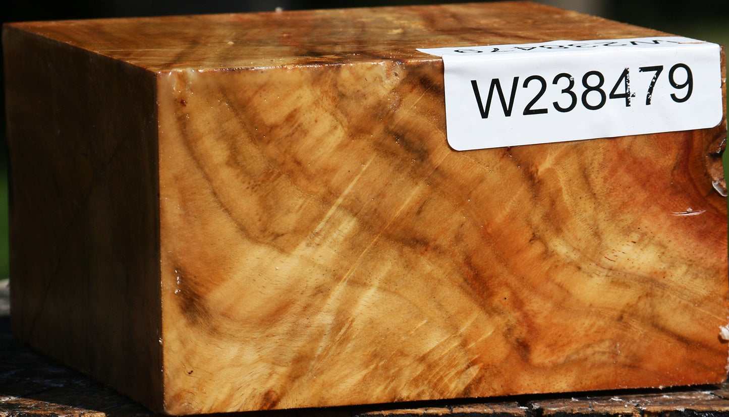 Extra Fancy Carob Bowl Blank