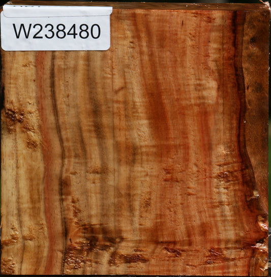 Extra Fancy Carob Bowl Blank