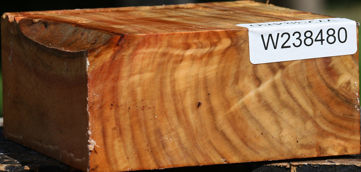 Extra Fancy Carob Bowl Blank