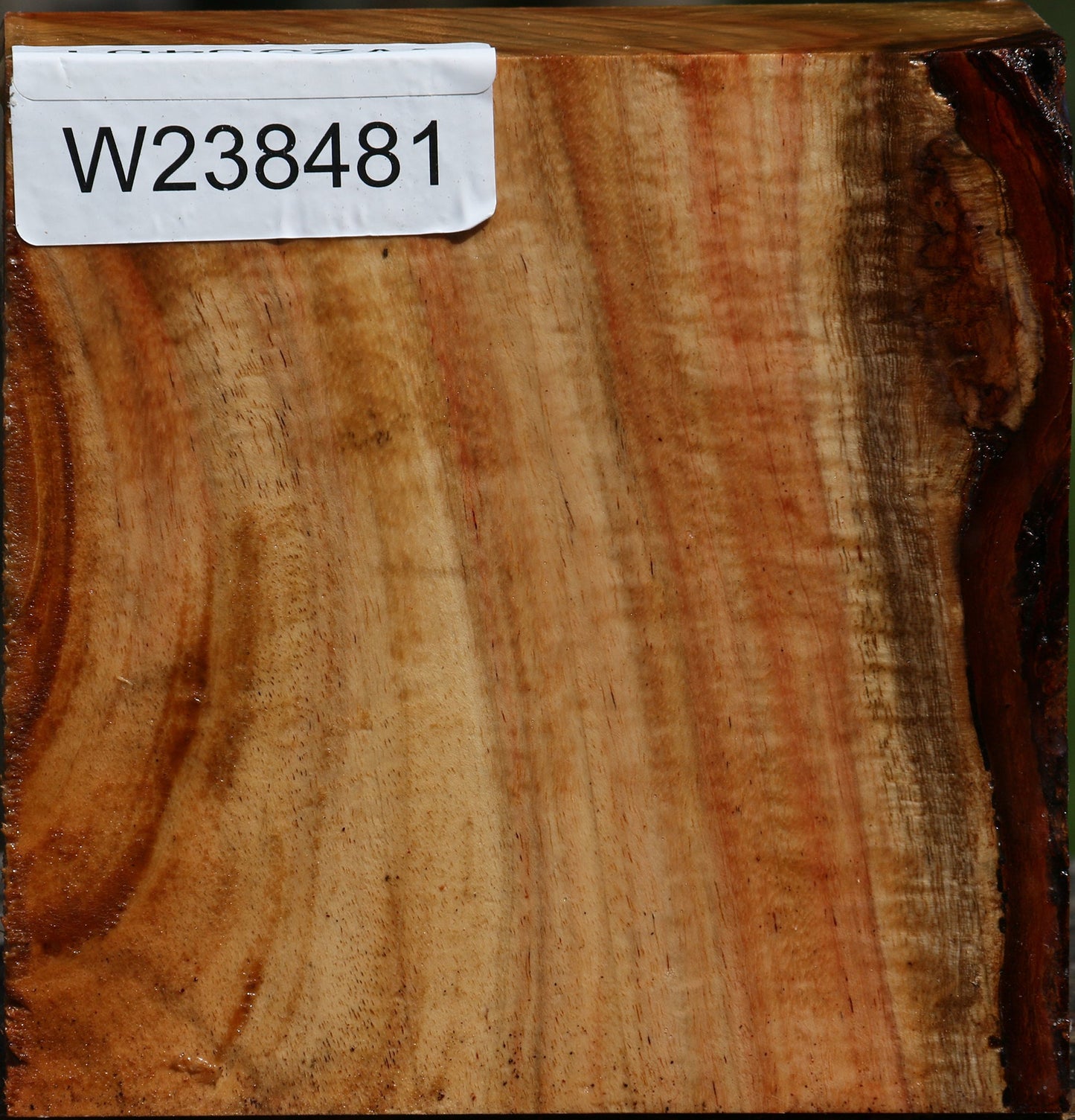 Figured Carob Bowl Blank