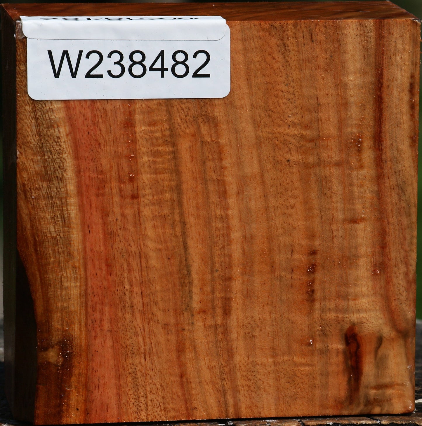 Figured Carob Bowl Blank