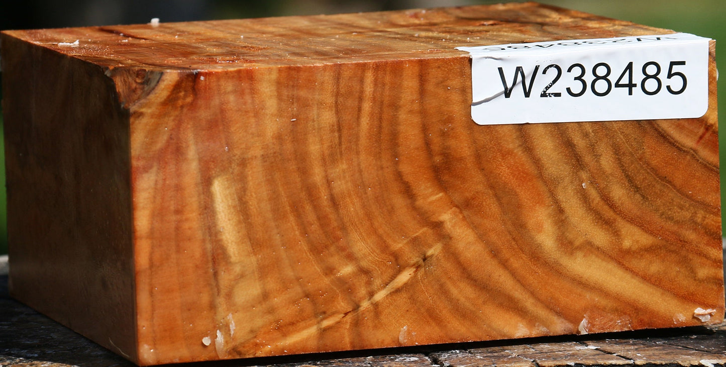 Extra Fancy Carob Bowl Blank