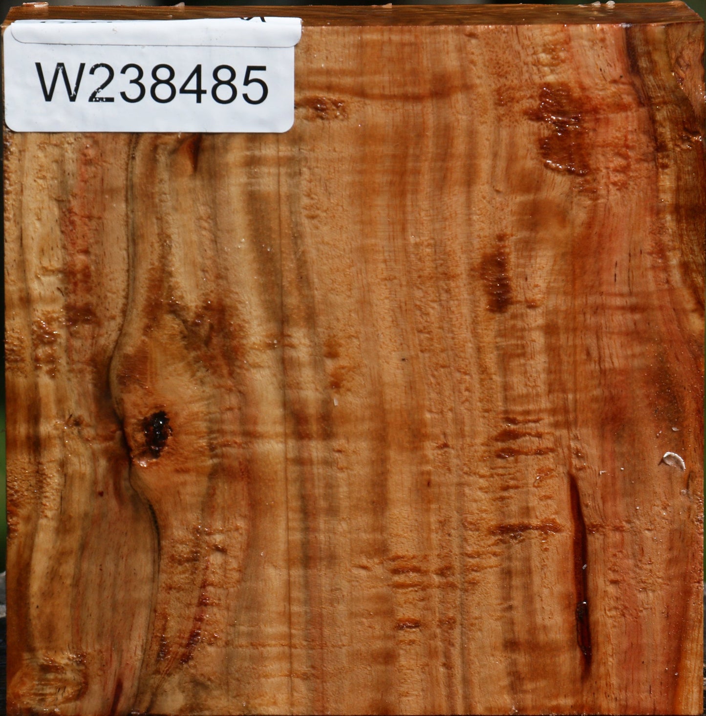 Extra Fancy Carob Bowl Blank