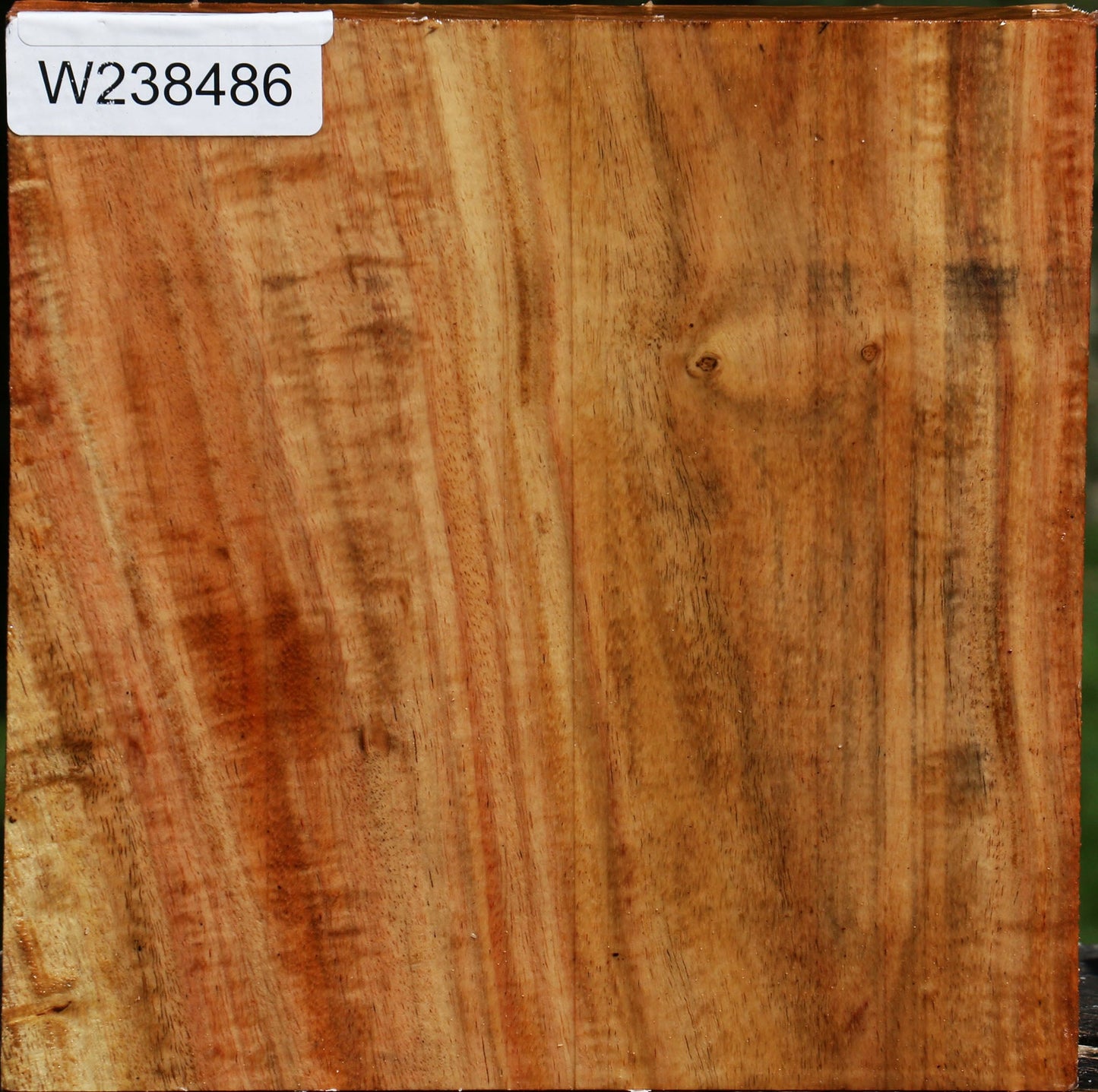 Figured Carob Bowl Blank