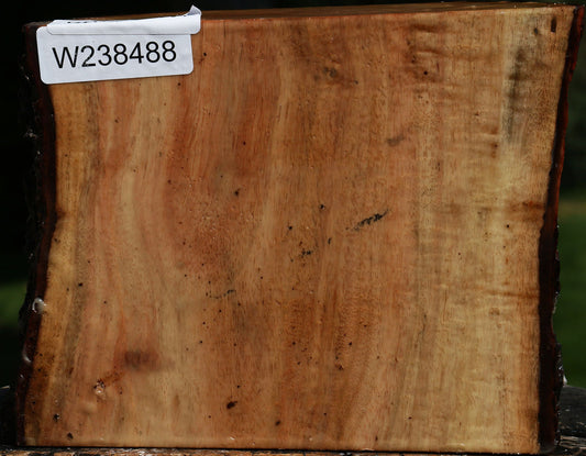 Carob Live Edge Bowl Blank