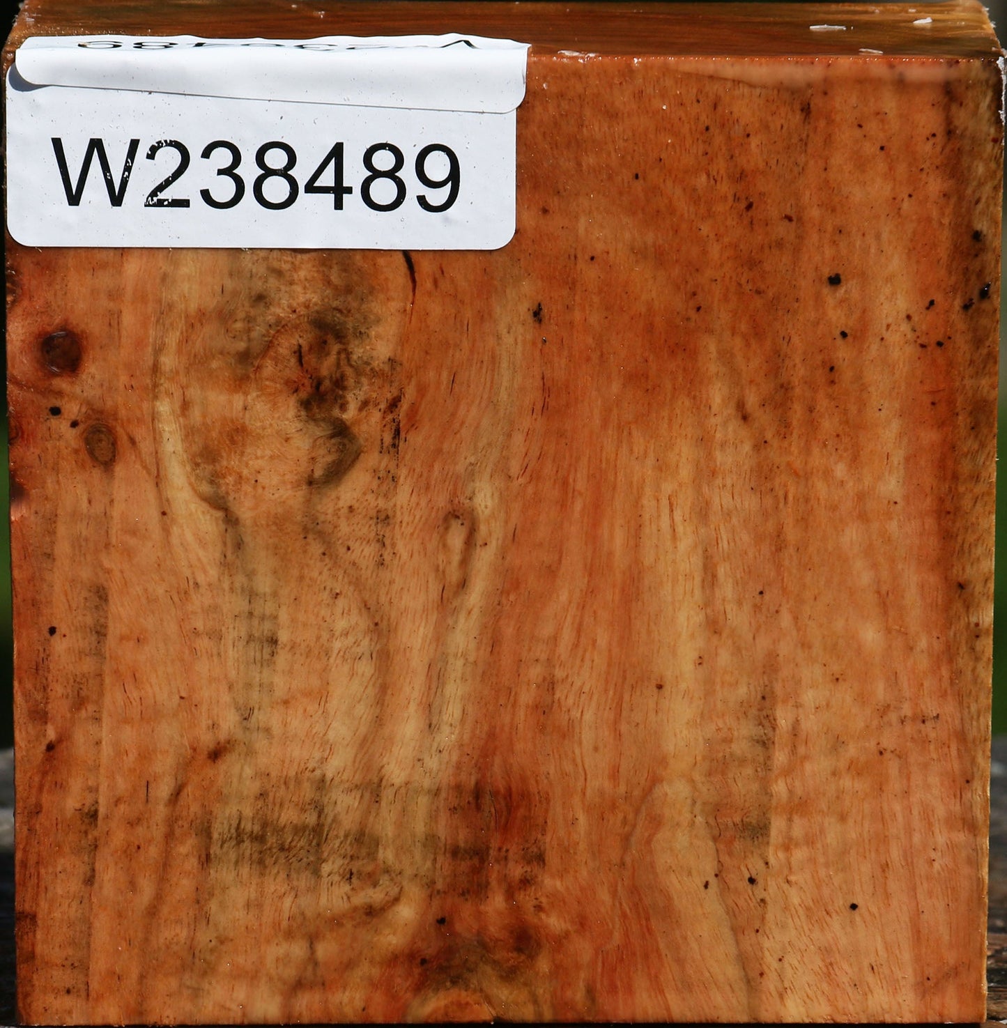 Figured Carob Bowl Blank