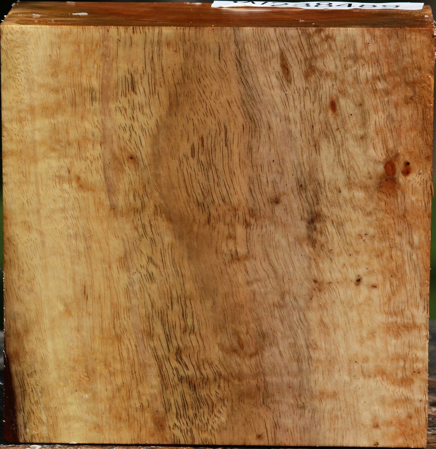 Figured Carob Bowl Blank