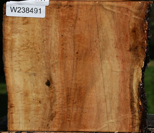 Figured Carob Live Edge Bowl Blank