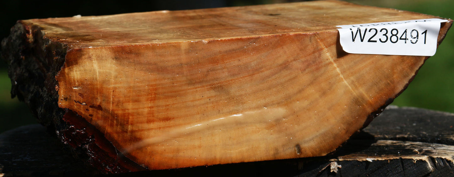 Figured Carob Live Edge Bowl Blank