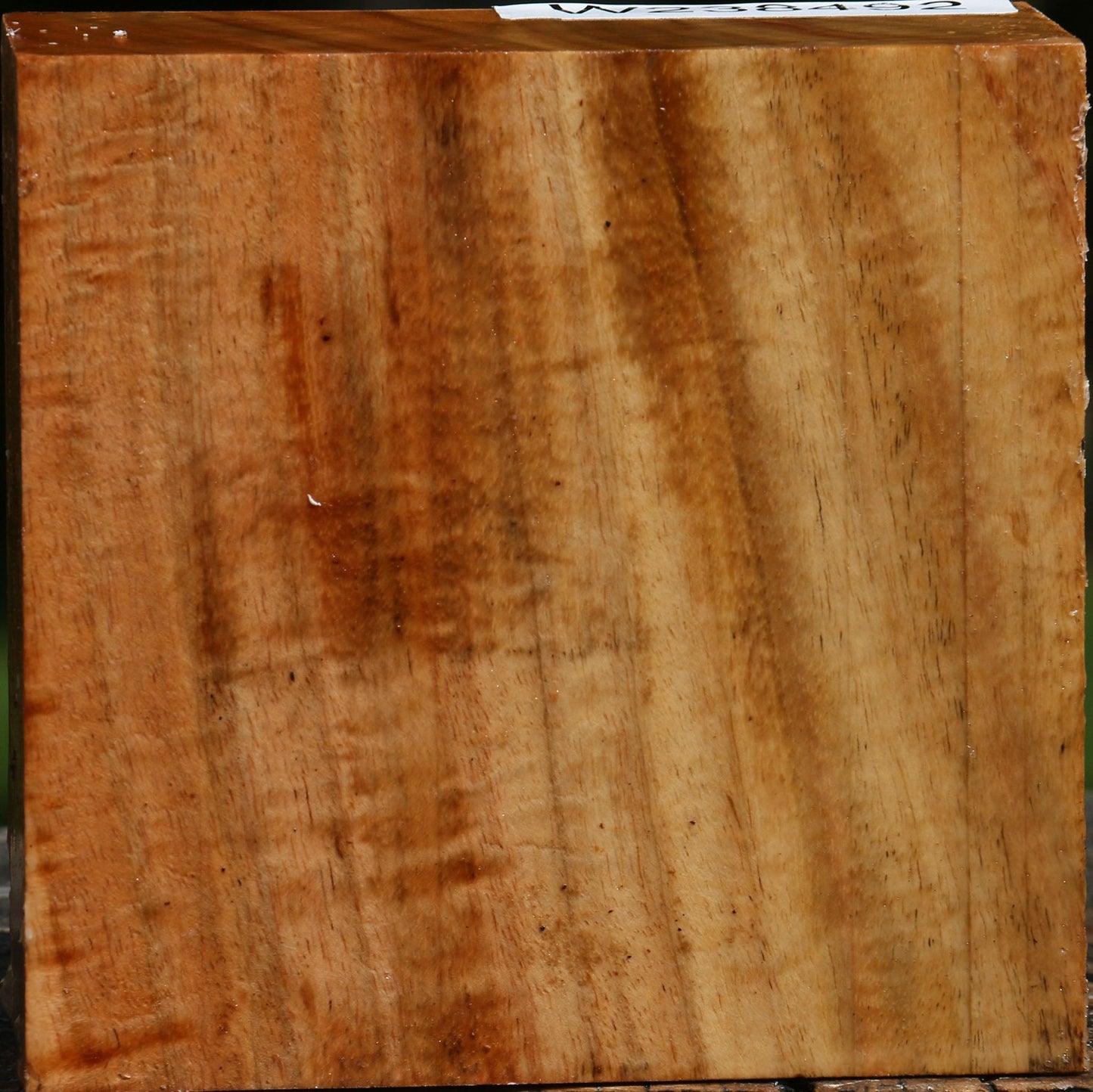 Figured Carob Bowl Blank