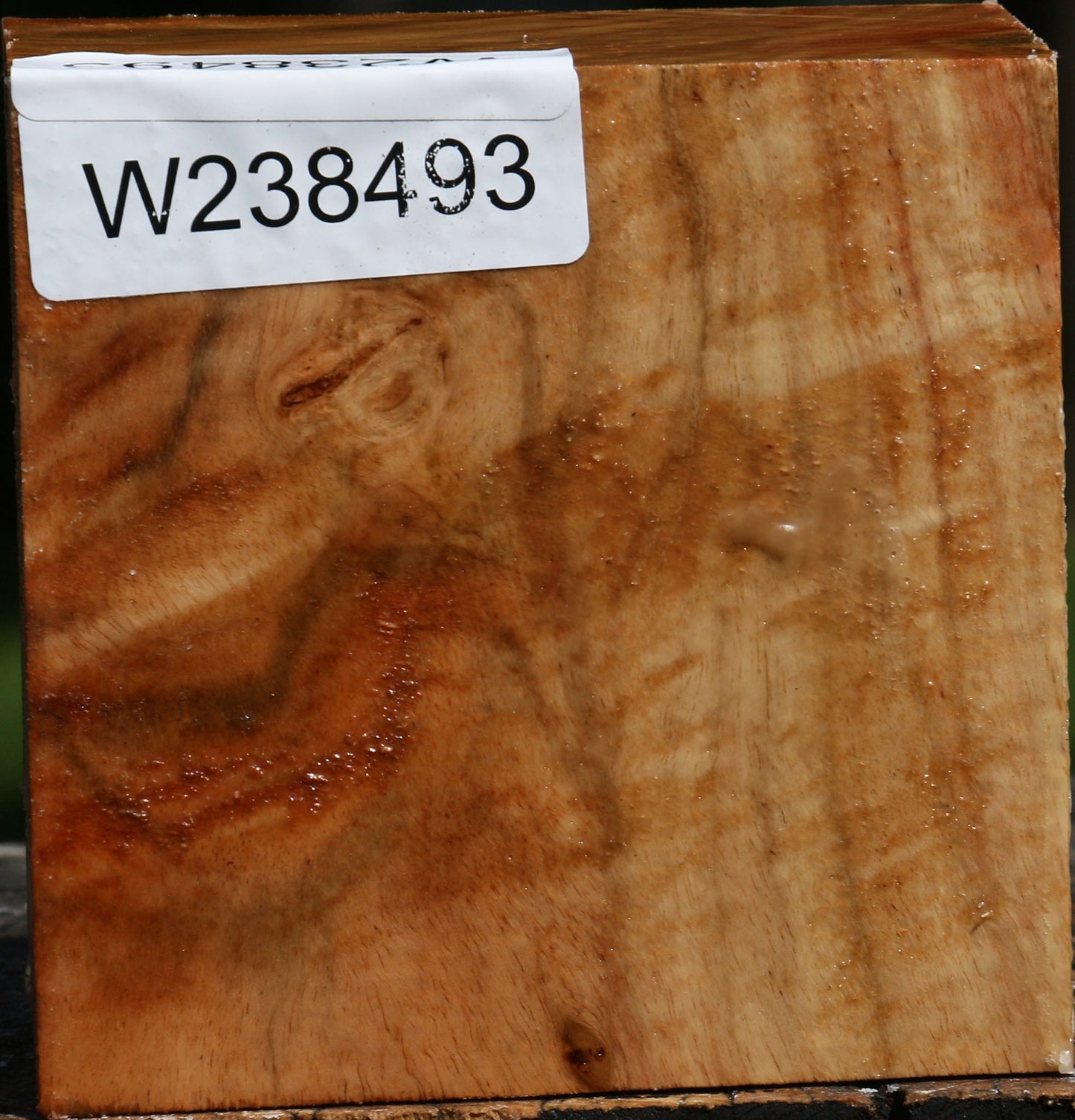 Figured Carob Bowl Blank