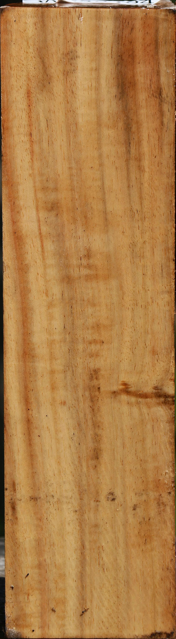 Figured Carob Peppermill