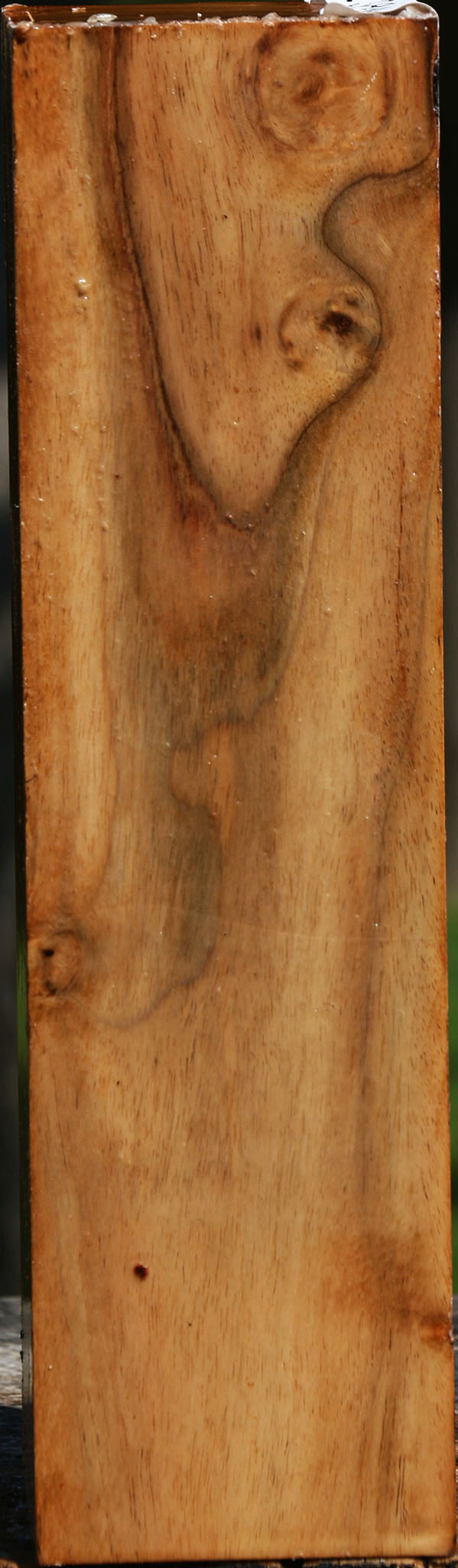 Figured Carob Peppermill